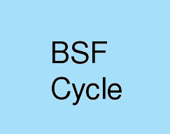 BSF-Cycle