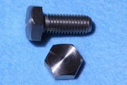 02) M10 25mm Bolt Stainless HM1025 - N10