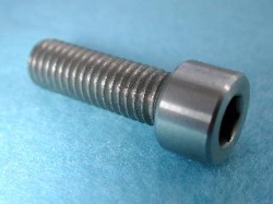 03) M8 25mm Cap Screw Stainless SM0825 - M22